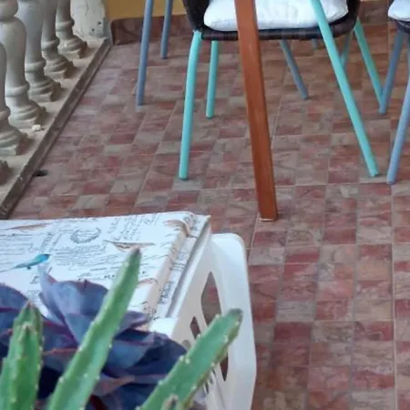 Apartament Cozy Garden With Terrace And Bbq - Comfort One Bedroom Vodice